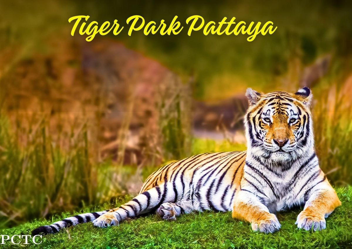 Pattaya Tiger Park
