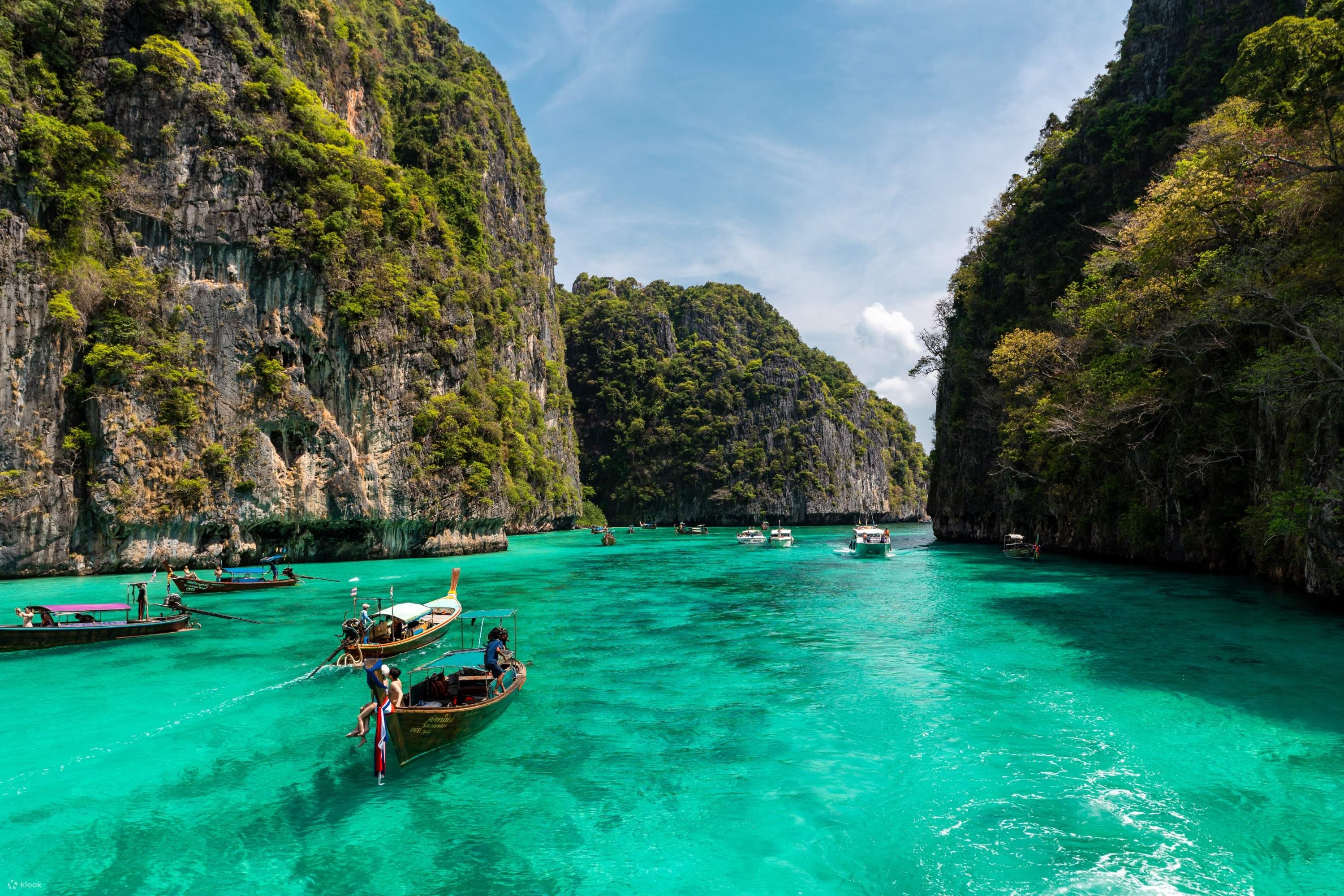 Phi Phi Island Tour