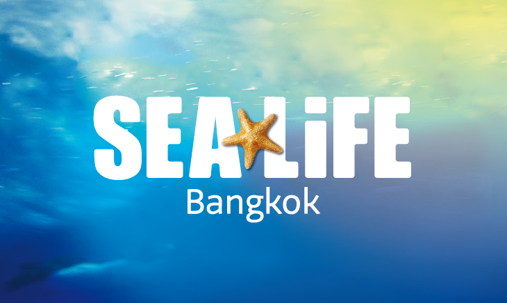 Sea Life and Madame Tussauds Museums Bangkok